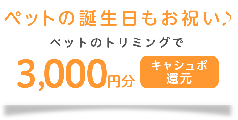 ケーキをプレゼントで何度でも500円分キャシュポ還元