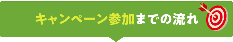 キャンペーン参加までの流れ