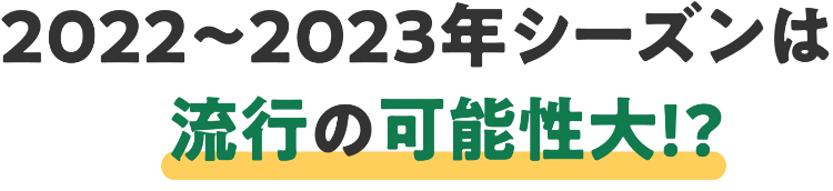 2022-2023年シーズンは流行の可能性大？